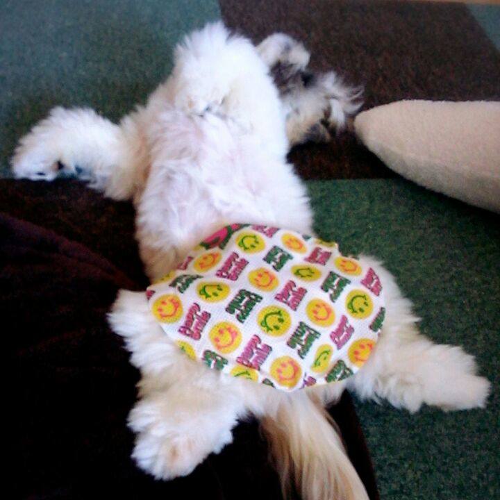 4f6d39de 117f 4b20 9f7e 32b060581123