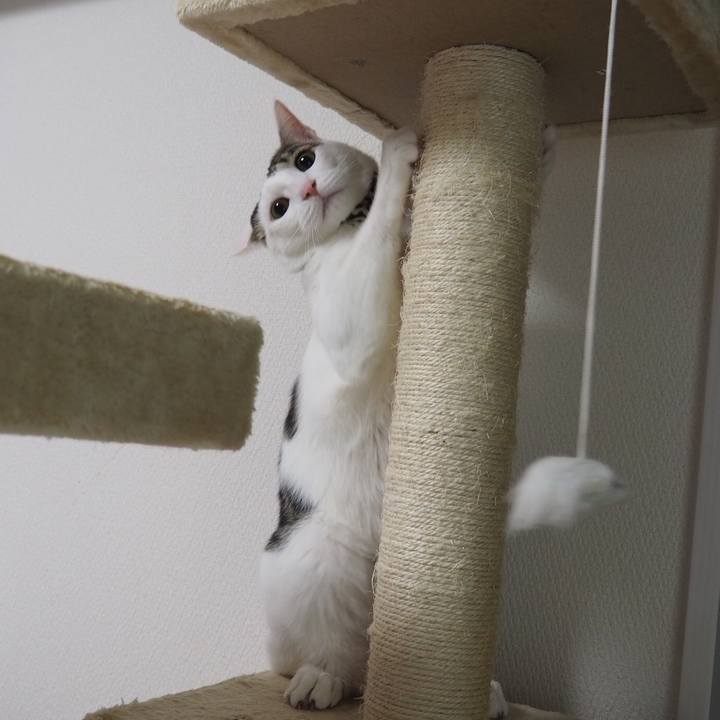 4f6d80fe 8500 47be 9fd1 6039a3513c5f