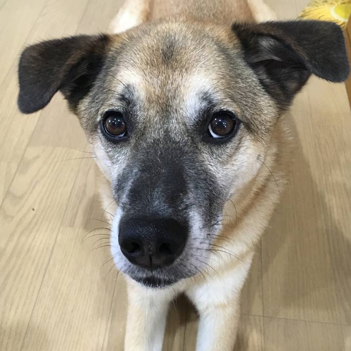 4f6e3e4d e5b6 44f2 a012 044a5e55e6fb