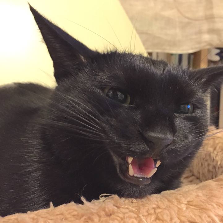 4f6e4b12 92ee 43f9 8e13 ca89d2d02f55