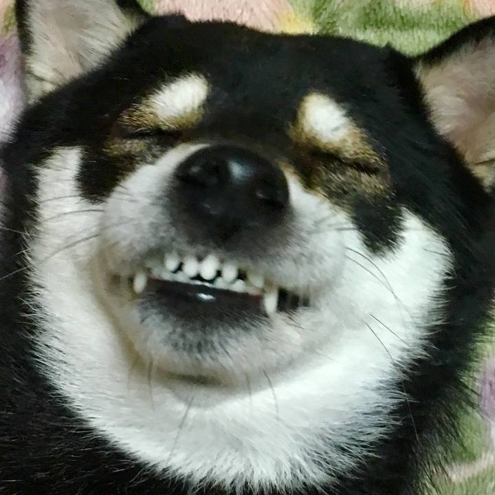 4f6e52dd 171f 4726 8923 728cb2736916