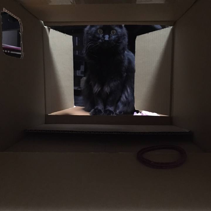 4f6e8db8 3c9e 4f02 a5a0 00d03f3353f0