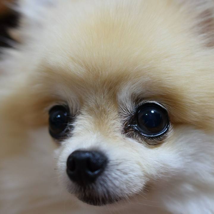 4f6efaf4 4763 4ed6 9251 abac96e6b8e5