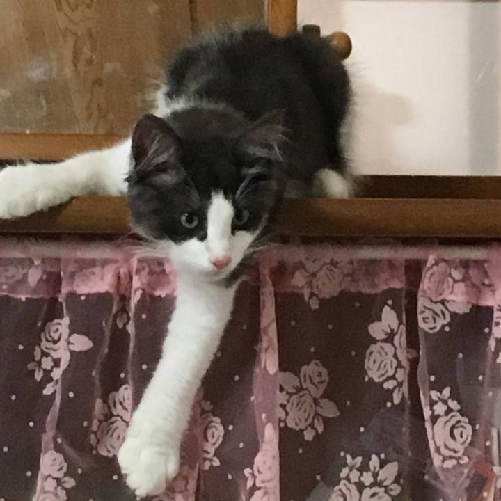 4f6f2025 e36a 4fed 9689 7c282028fb51