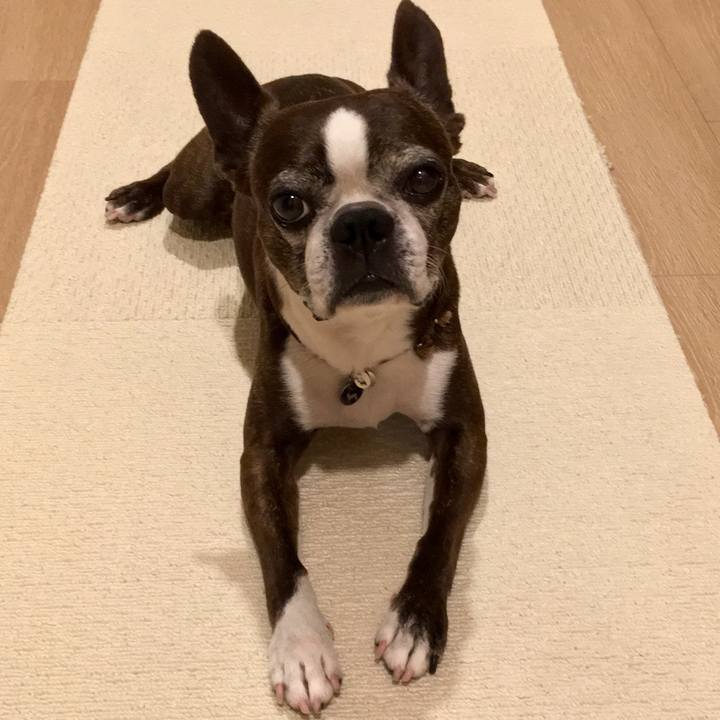 4f6ff3a7 6151 4b19 8445 752afaa569f4