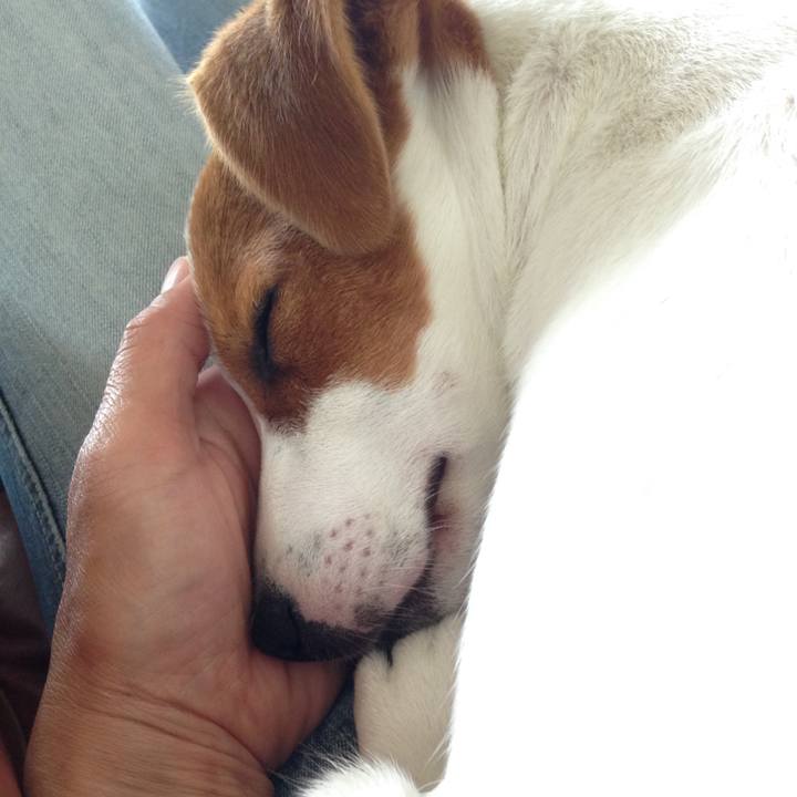 4f7045dc 3a43 446c be0f 128a0844b3b0