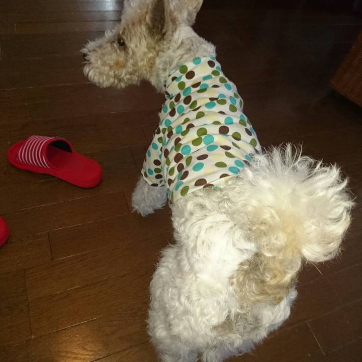 4f70856f a034 48e1 a64e ea3772417a1a