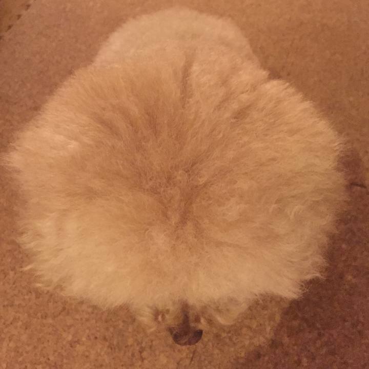 4f7087f4 b090 4094 b2fb a2a0a1988e6c