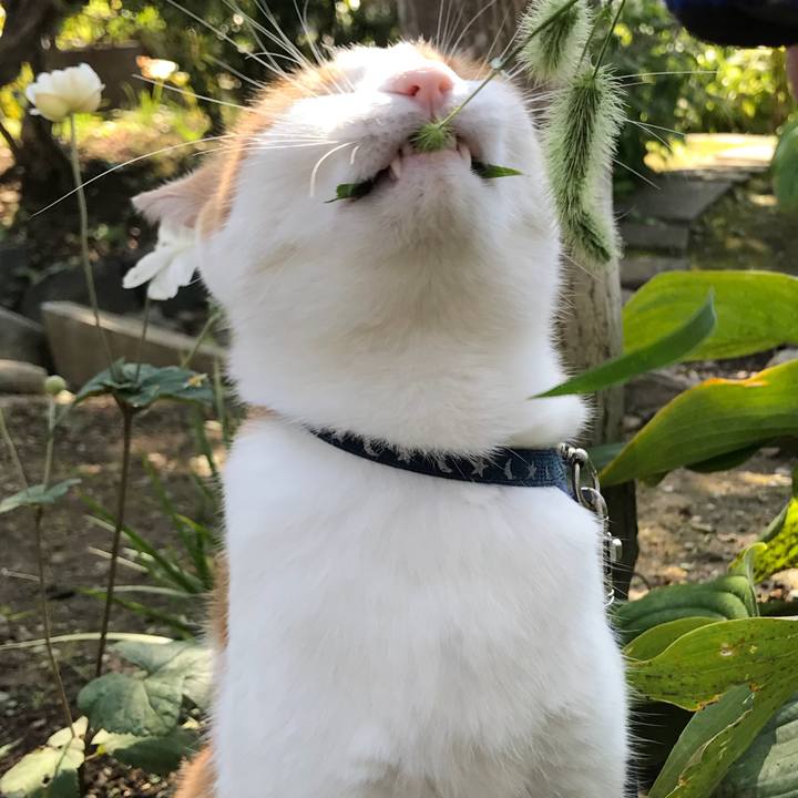 4f712b7a 75c2 4c57 b124 54cbcc3977e4