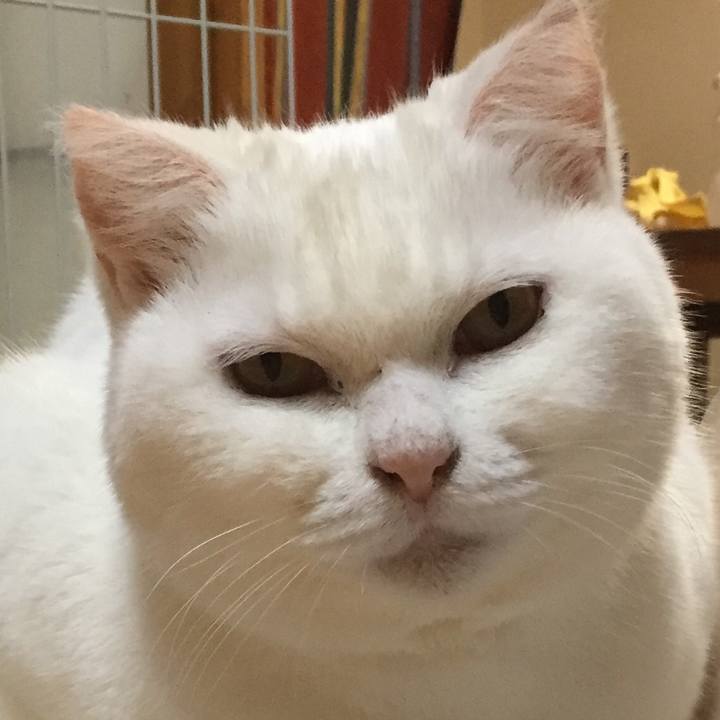 4f7159a8 124e 4dc9 945e 81b9bfb8a00c