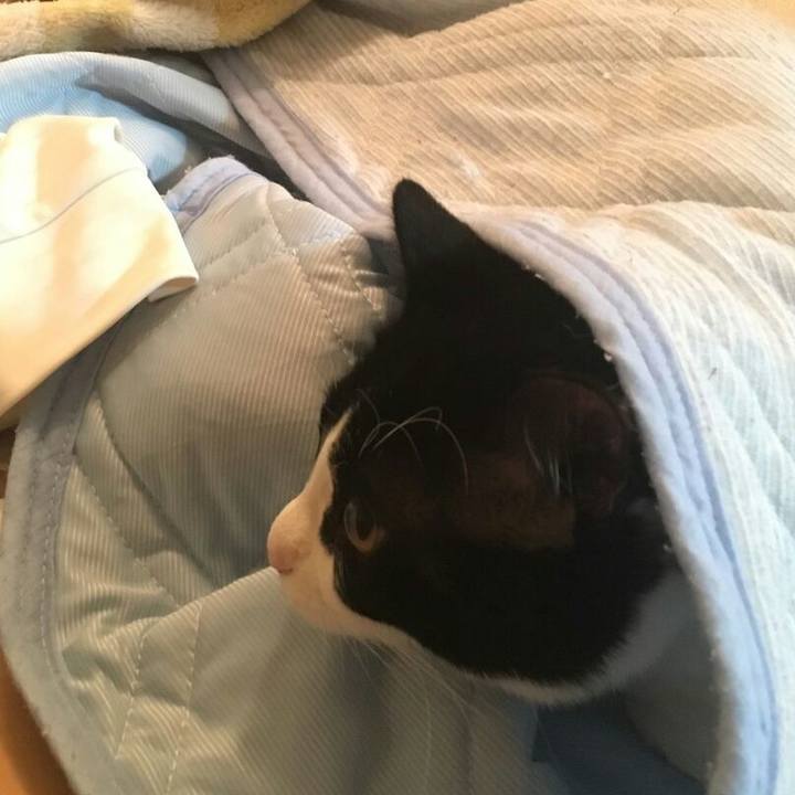 4f716713 b4b0 4d9f a74b f2b2a1f27f38