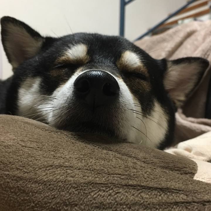 4f71d154 7a4a 447c b560 4339f4dcc76e