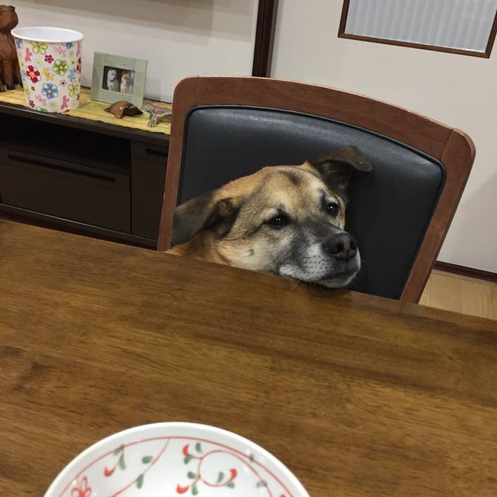 4f72154c 2168 4359 bc33 331724a5ab5e