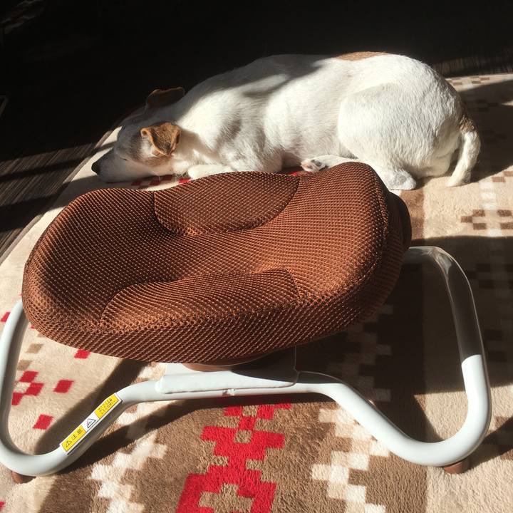 4f72377a 8020 4982 b479 79c8df117120