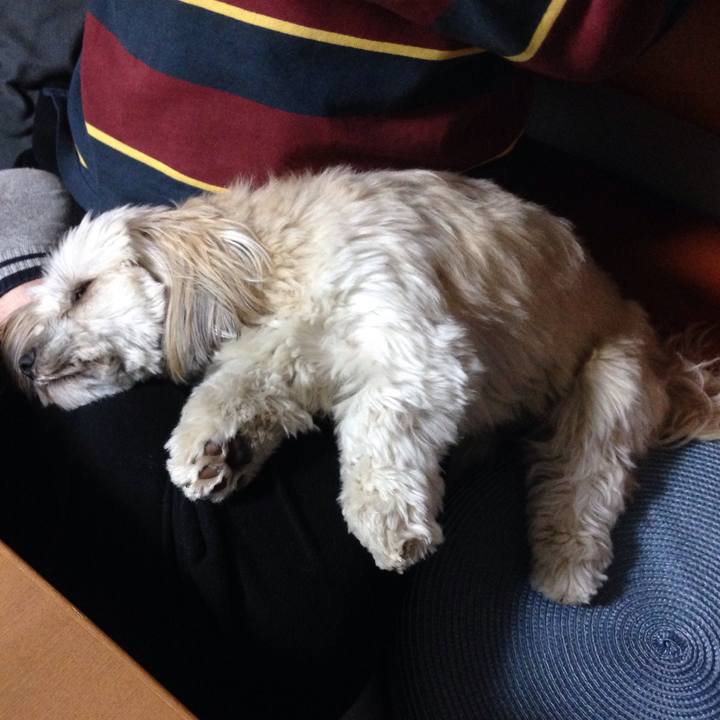 4f724c95 21f5 418c 9d57 3dc47df2d847