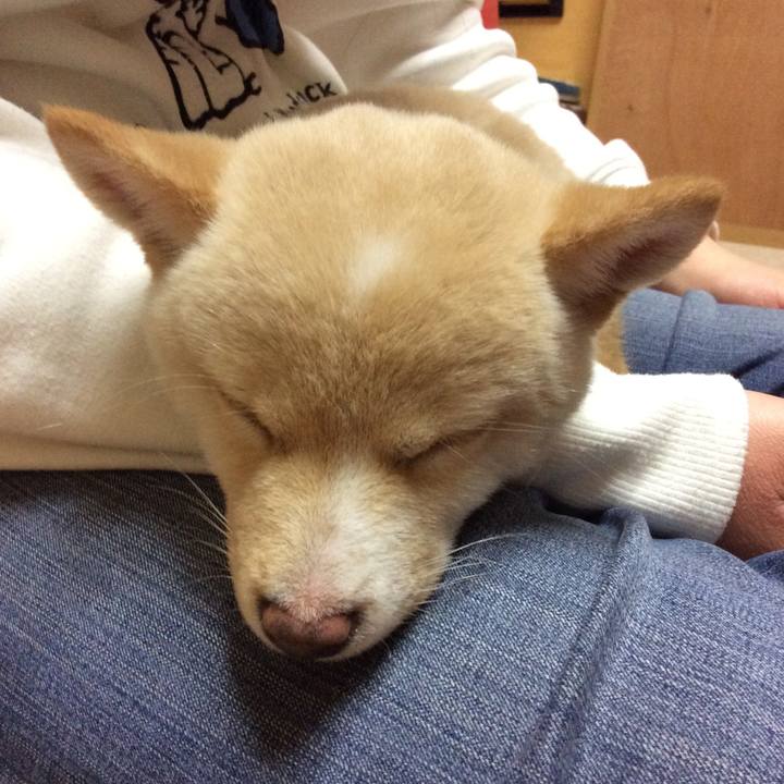 4f73507d 701f 4a3b 8c1a 35afc1cf730b