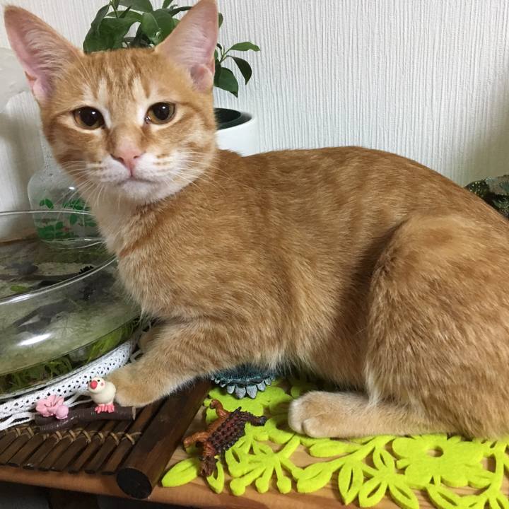 4f74315b 2a2e 4ea0 b001 334985cd78cc