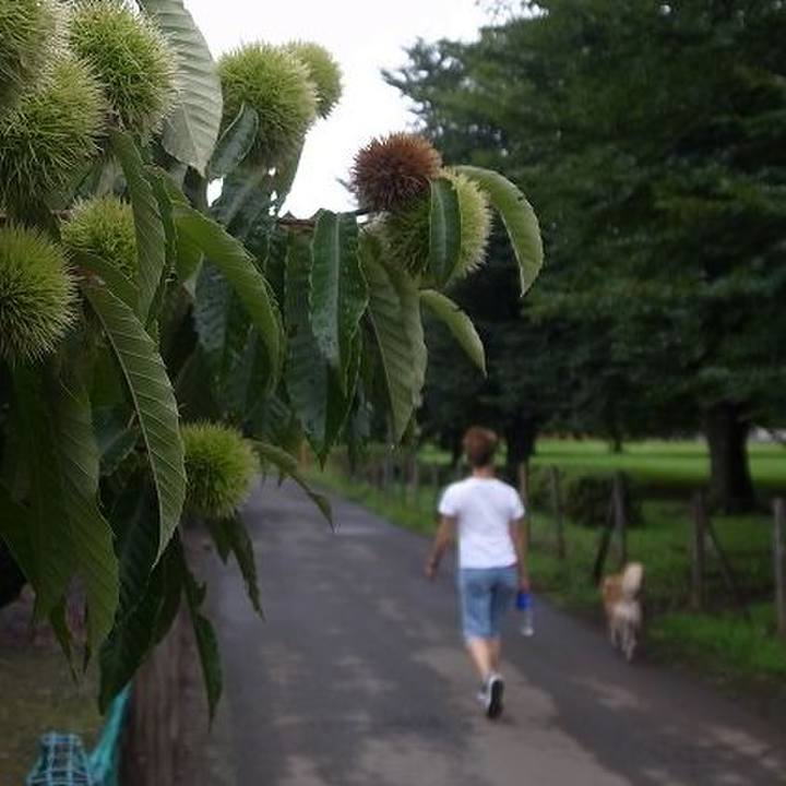 4f7481cb 34de 41ba abf7 4e92f76a4052