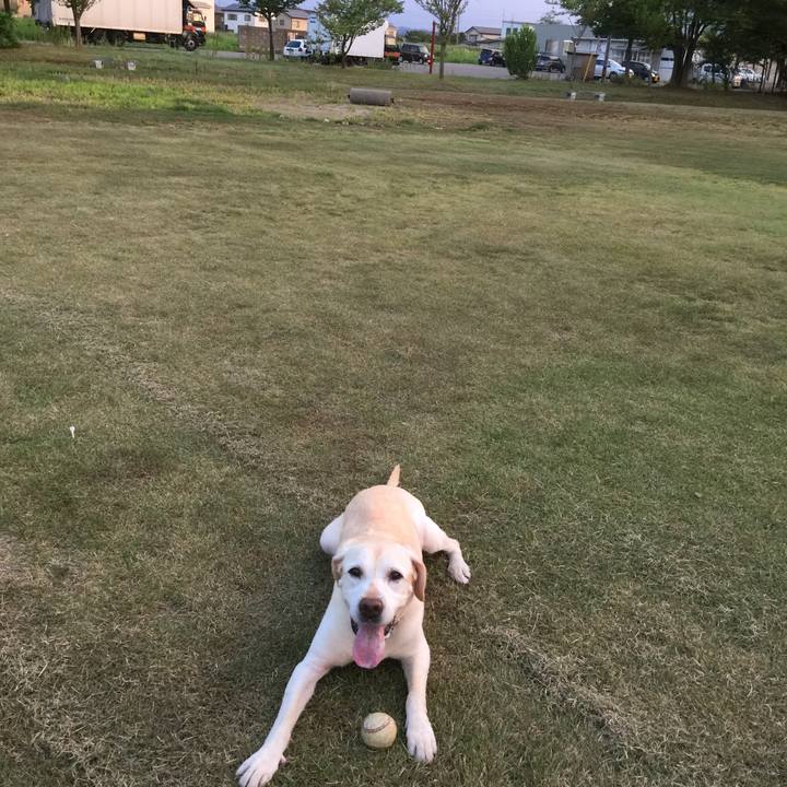 4f7567b2 5225 4af7 98f5 868a14621235