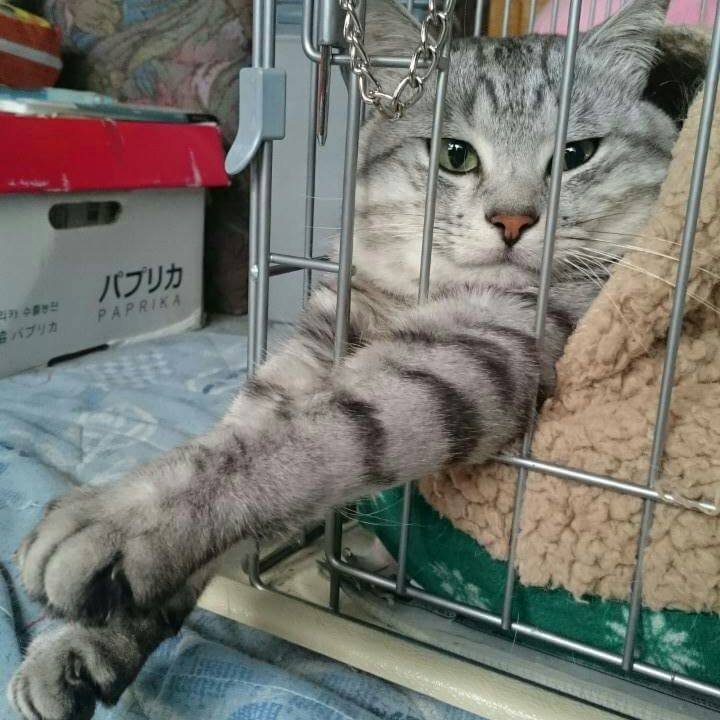 4f7580a5 6203 4d59 99d6 358482fe57ab