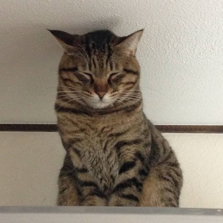 4f75f59e 37a1 484c bc96 f3ee514a5c01