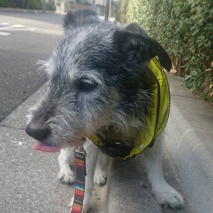 4f75fada a267 4c70 845c f003a22d3321