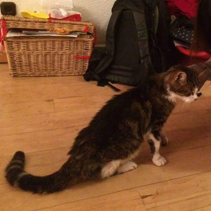 4f76cc06 0601 4a57 b1d6 81e289353877