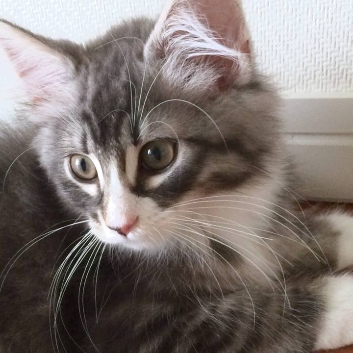 4f76f5b0 a366 4d5c abc1 e659759ef2c2