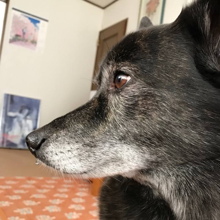 4f771f7e 30c7 4ada a905 7340b83b0501