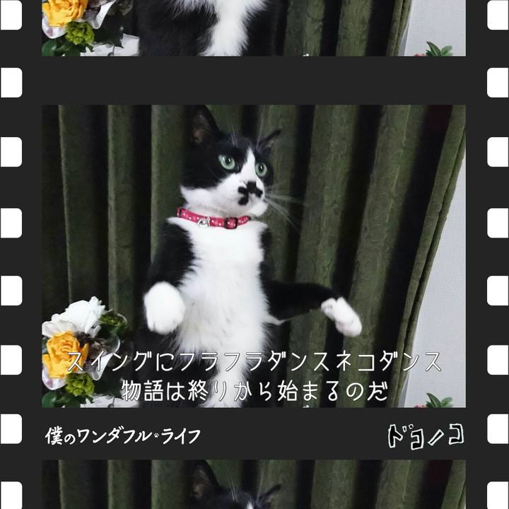 4f77ca38 b3a0 4f06 a0a3 460338dcf676