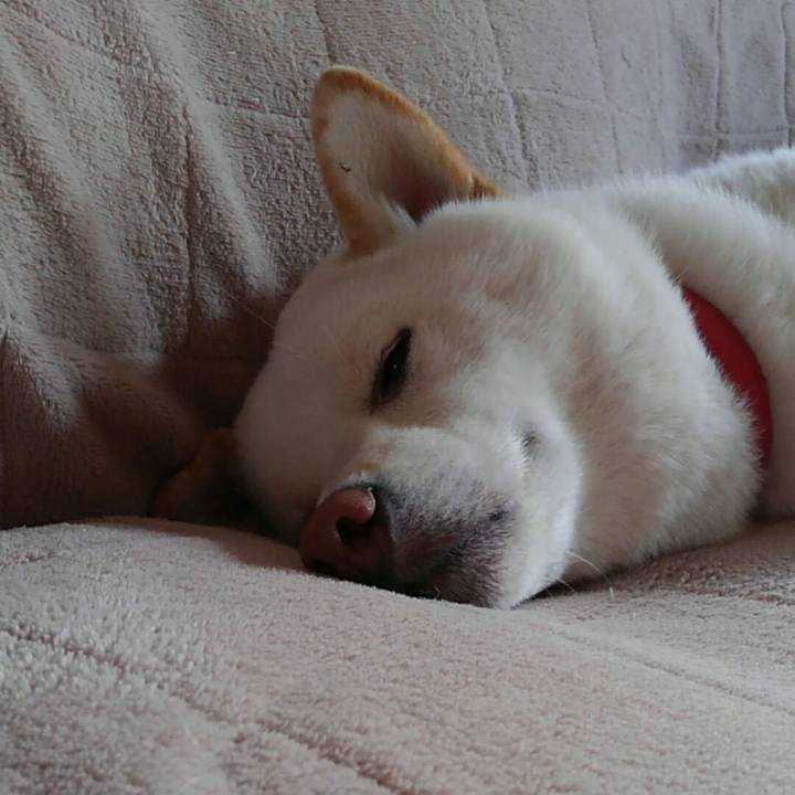 4f7832ff 00ab 4ec5 a09b 1e91053ab37e