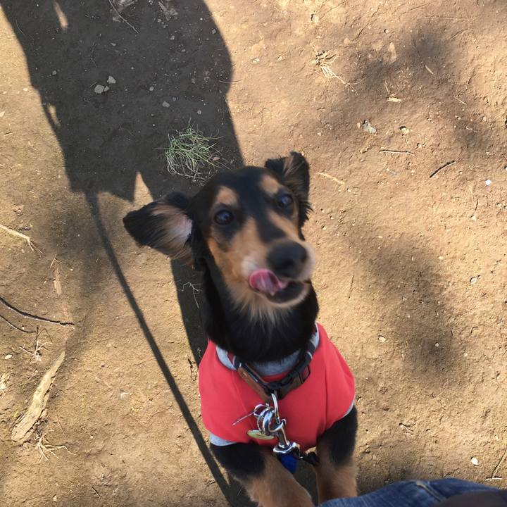 4f783477 01ff 413c 8324 bb53d9f0f6d4