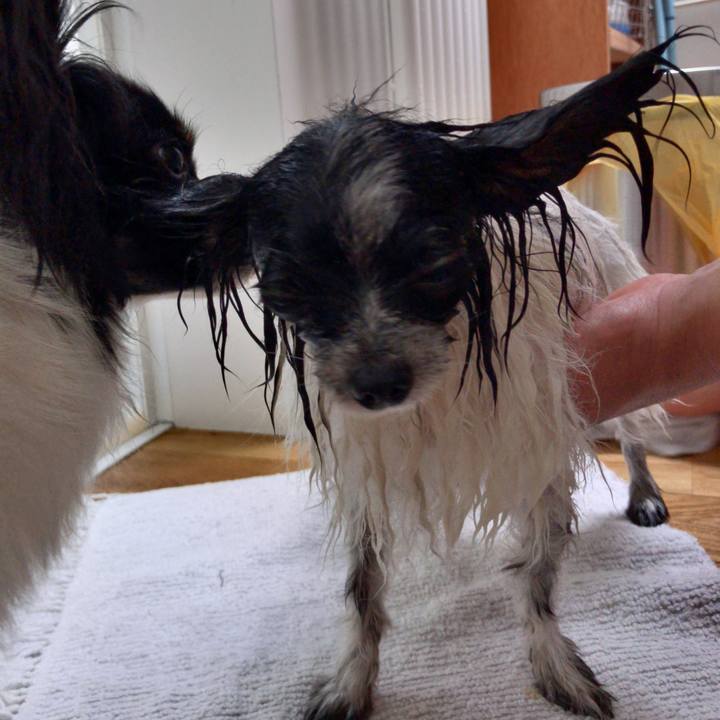 4f7884a4 78fd 406f 8e4c f6cb1b48b178