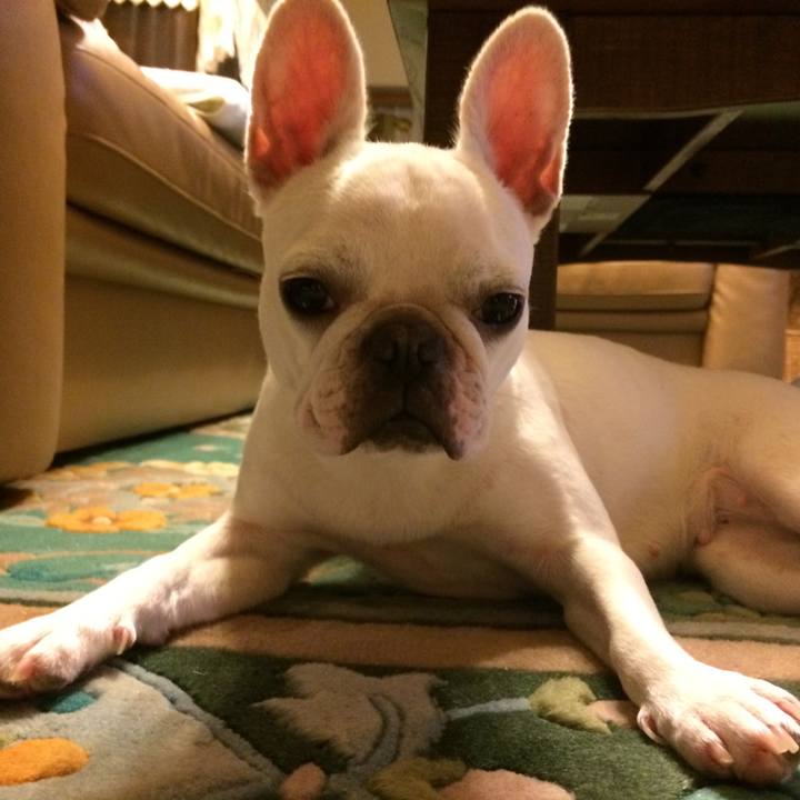 4f7886e4 f439 4a30 96ed a502b63aaa3f