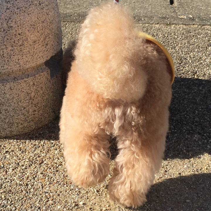 4f7970dc 81a6 4597 9bc1 6476da9546af