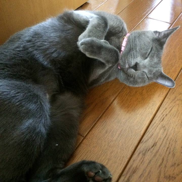 4f799cdc fe94 40a2 a934 526b551794c7