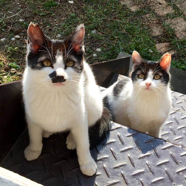 4f7a6f6d 5d8b 46ef a198 ee1662e5c1c0