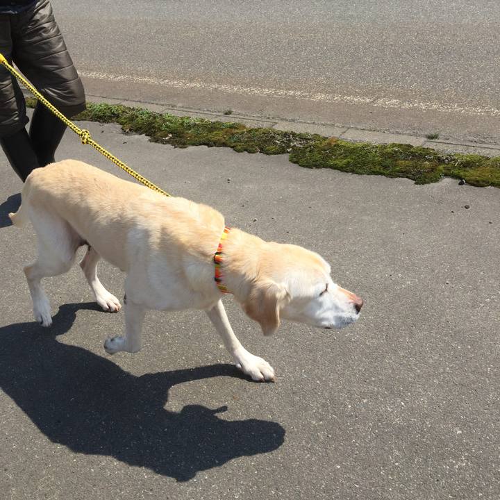 4f7a75ff 5f8a 4490 bd64 092e05f85a9e