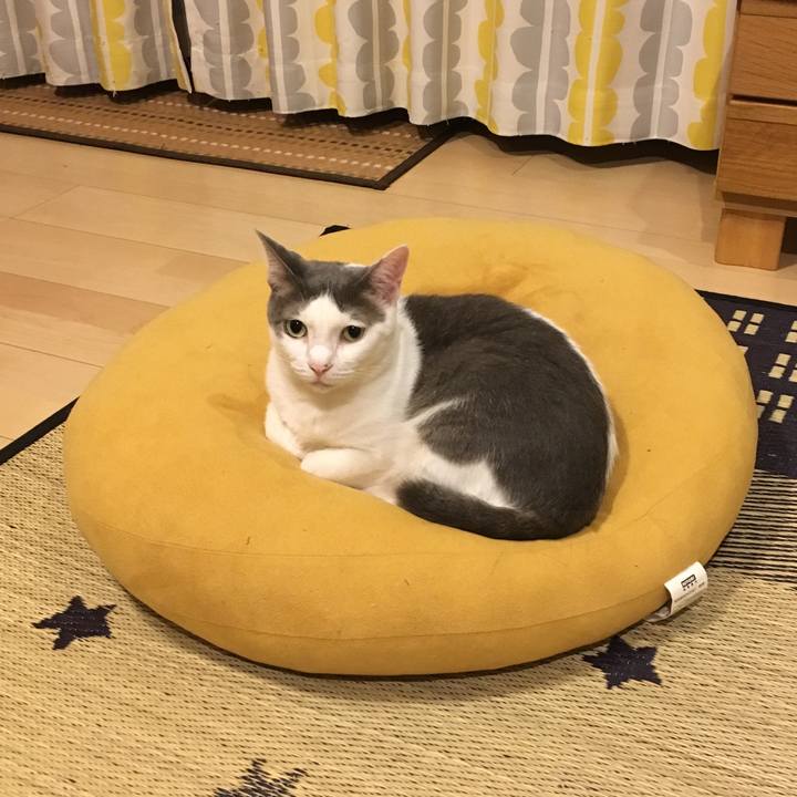 4f7a9555 6624 4bcb a380 e92d925155c7