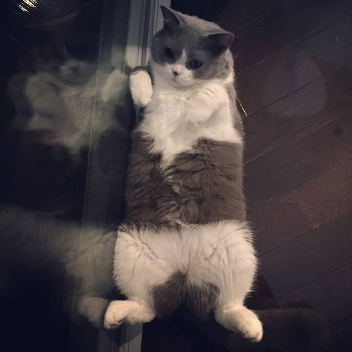 4f7b05c7 6f1b 4b40 918f 1b887bda62f1