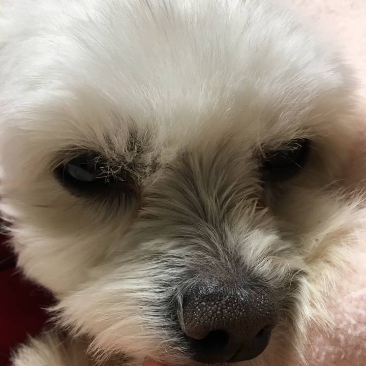 4f7d6ff6 5ea8 4680 9780 b61893e3835e