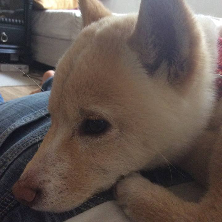 4f7e528f bbe5 4239 a18c 3648f099c5ad