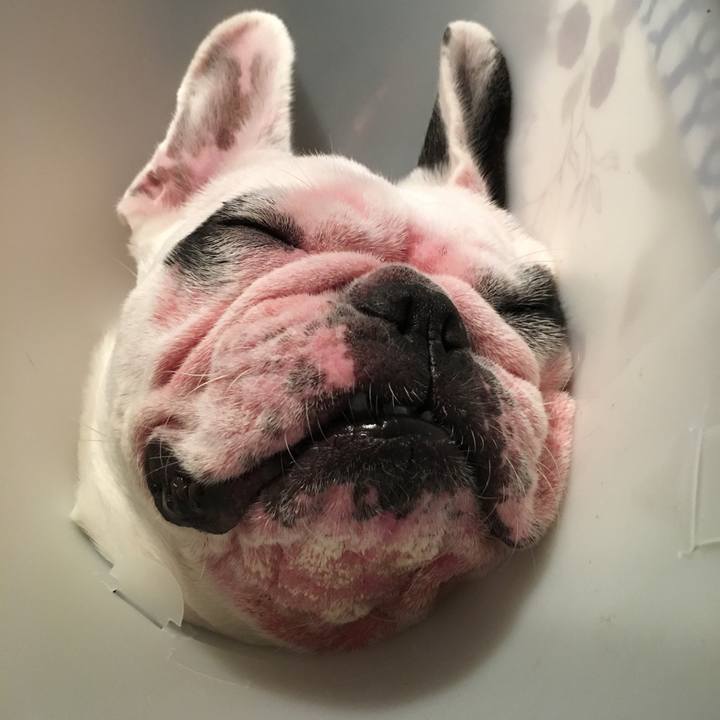 4f7eba13 e82f 4a2c a34d 100916c8ed93