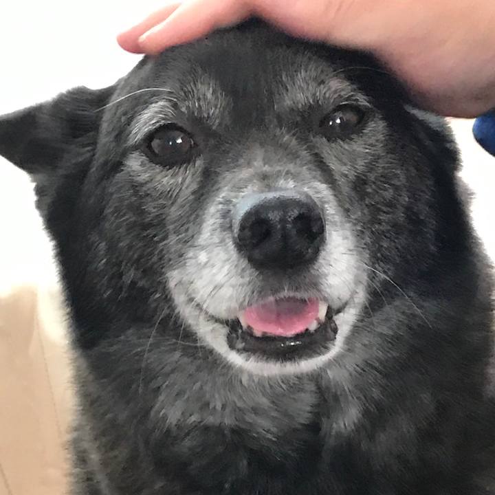 4f7ebd40 4c56 46c0 8537 a90570496eef