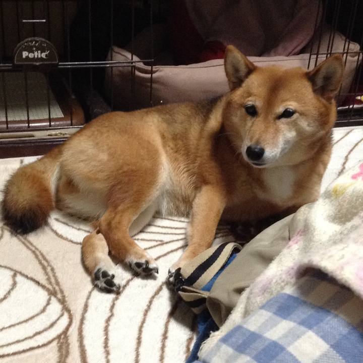 4f7f4112 0f1f 4e13 aa40 44af3ec995dc