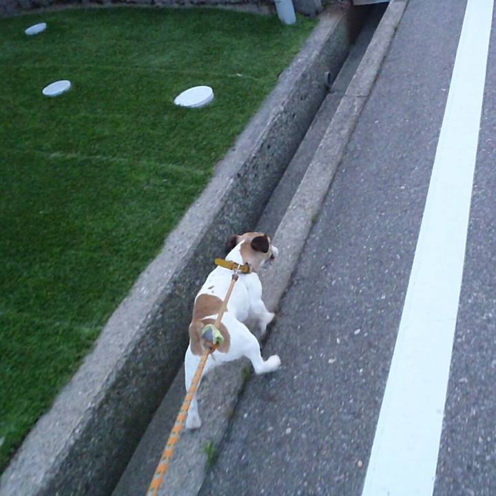 4f7f49dc 2c18 41ed 97cb 23e90b698c8f