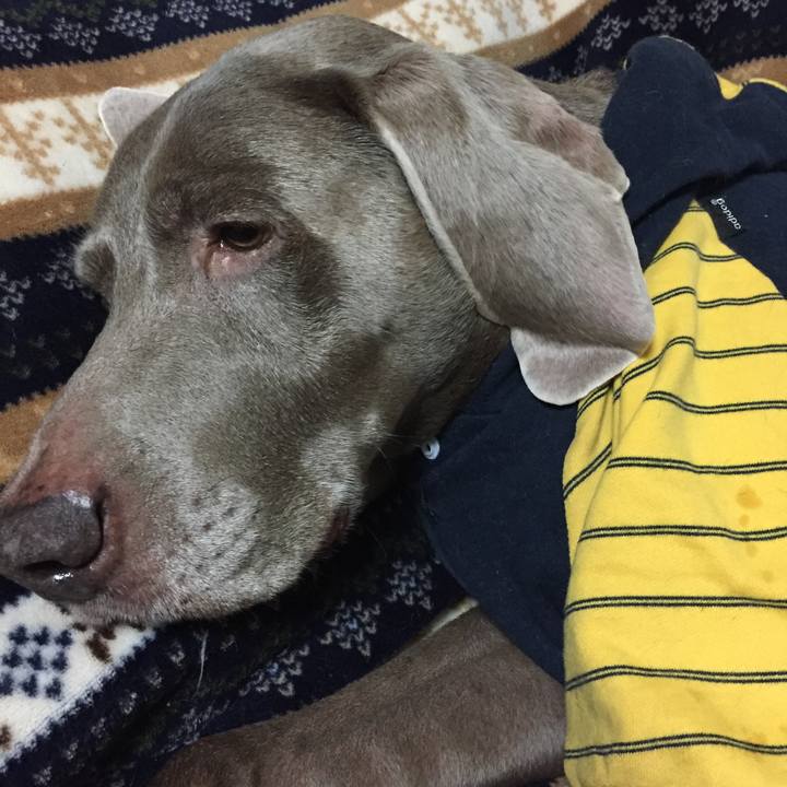 4f7fb79a c0d4 4a24 9e9e 2dbc87c5f1de