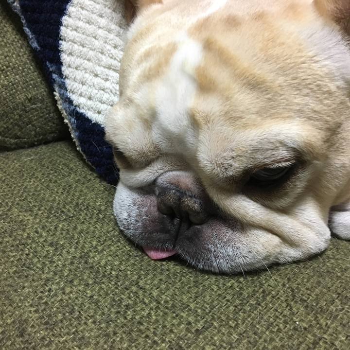 4f800abc cade 46c6 a991 a7a572dd5ffd