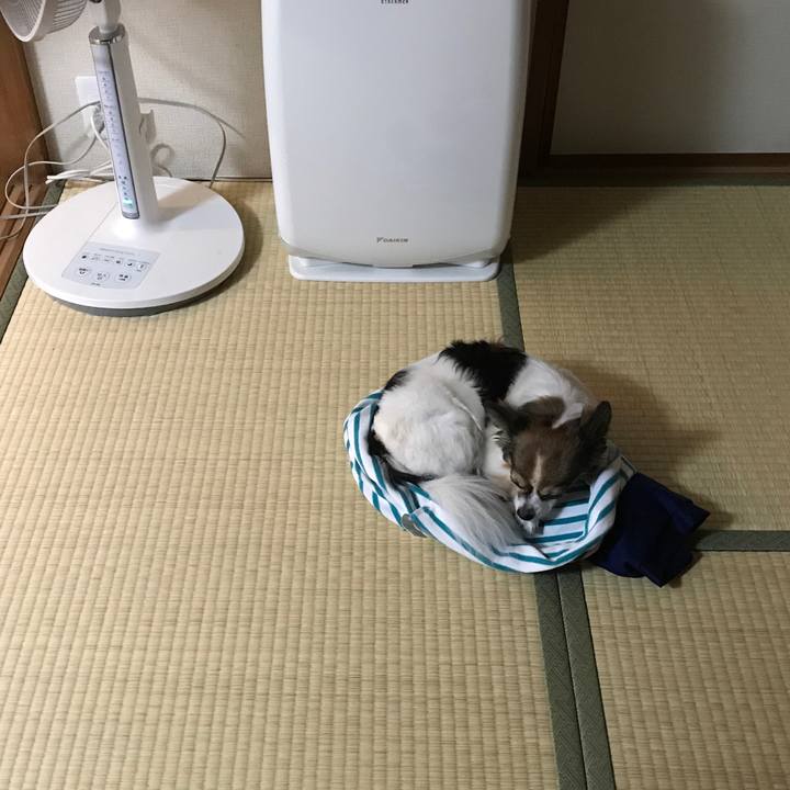 4f80e658 6098 4066 b113 9c8c94dc2901