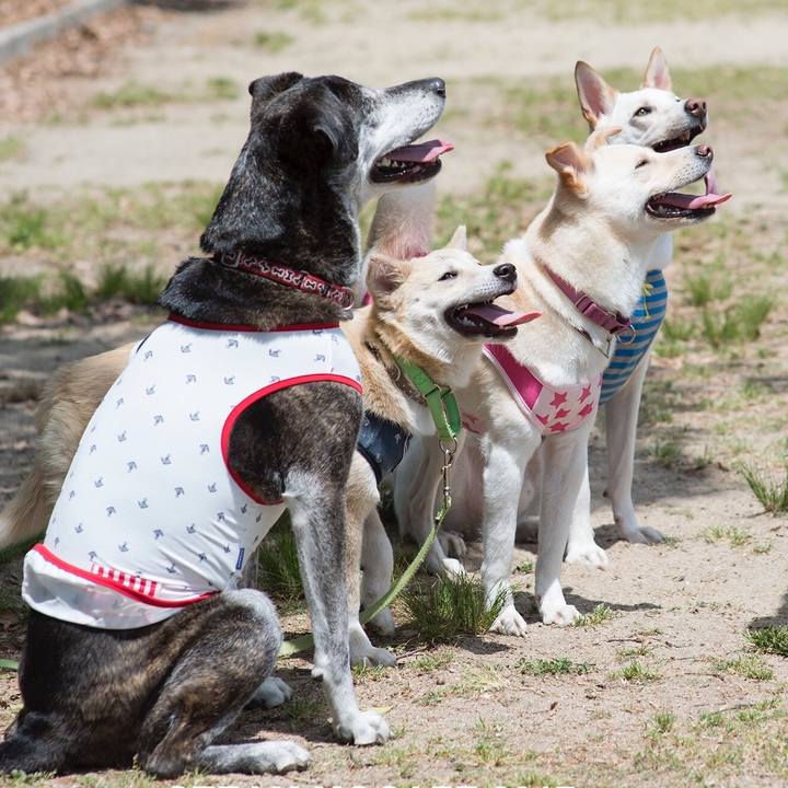 4f8183df ba79 4f02 ba0f 7e7695049147